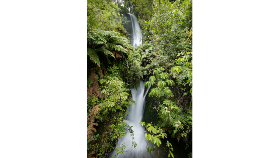 The Te Wairoa Falls ( also known as Wairere Waterfalls)
