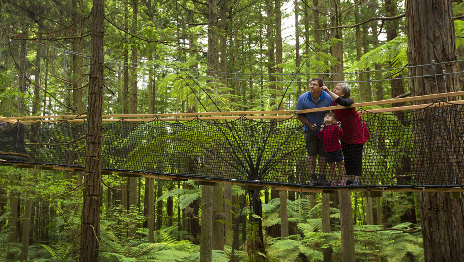 The Redwoods Treewalk is perfect for families of all ages - great for the school holidays.