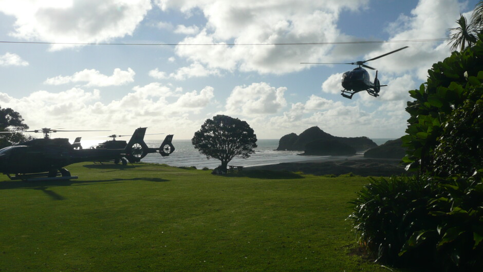Arrive by Helicopter or self drive (we are 40 minutes drive directly west of Auckland's CBD).
