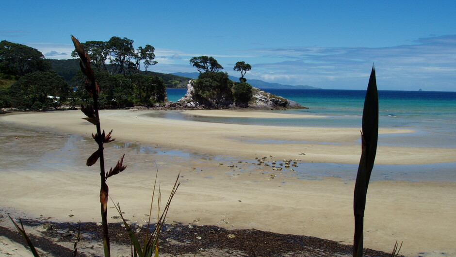 Tryphena Harbour, Great Barrier Island.