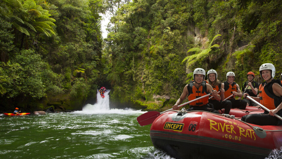 Raft the highest commercially rafted waterfall in the world with River Rats Raft & Kayak on the Kaituna River