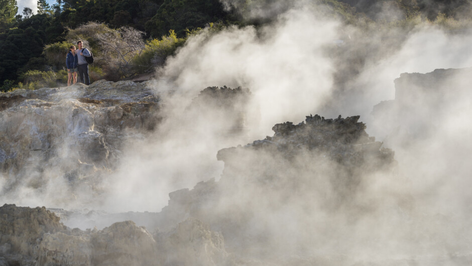 The Hells Gate geothermal walk will lead you into another world.