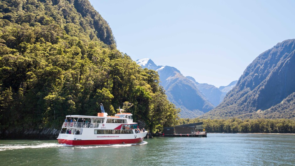 Southern Discoveries Encounter Nature Cruise in Milford Sound