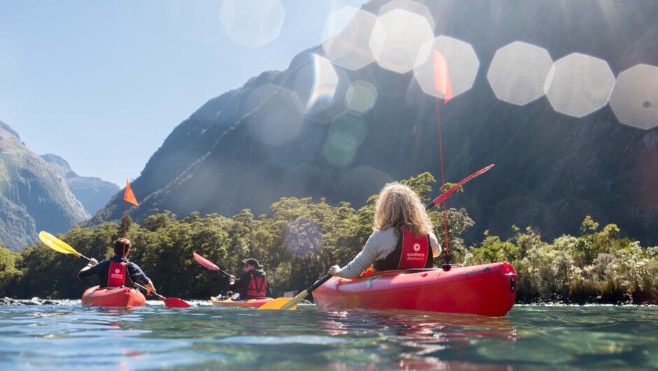 Milford Sound Cruise & Kayak