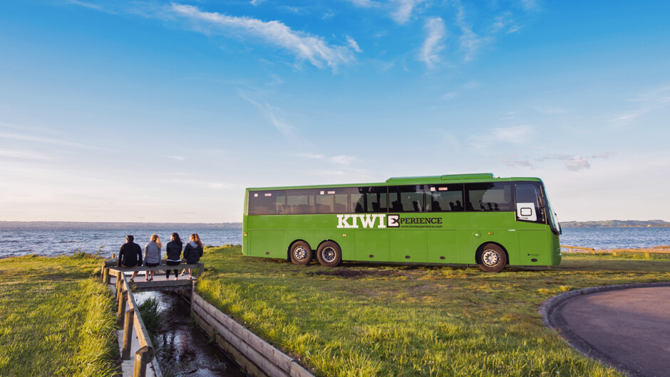 Kiwi Experience Bus Adventures