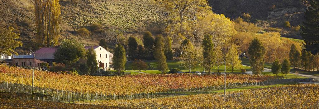 Chard Farm Winery in Autumn
