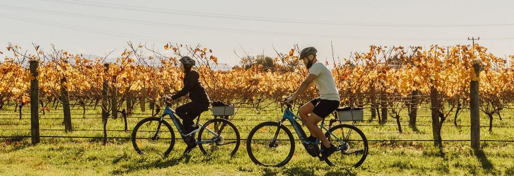 Ebiking vineyards in autumn