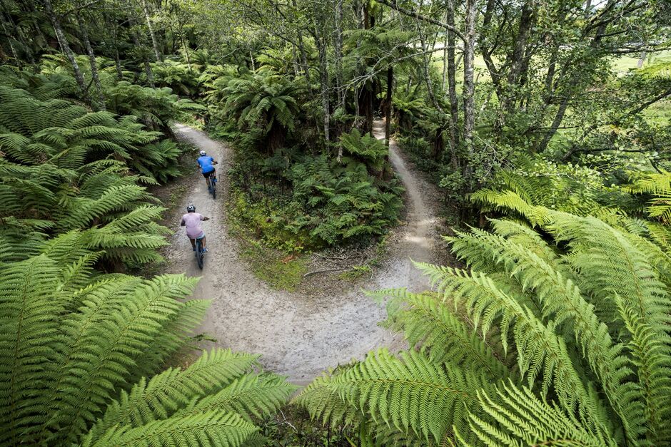 Whakarewarewa Forest Loop Great Ride