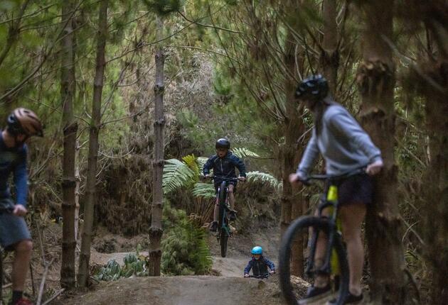 Aotearoa New Zealand has some of the top mountain biking trails in the world – ride in the north and the south to discover New Zealand’s epic mountain biking scene.