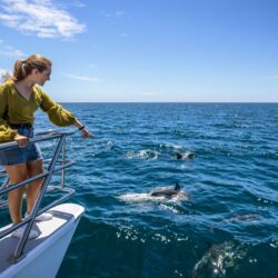 Hauraki Gulf, Auckland