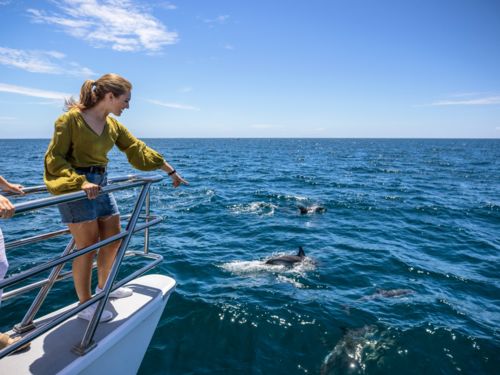 Hauraki Gulf, Auckland