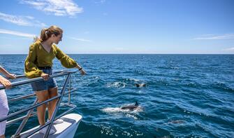 Hauraki Gulf, Auckland