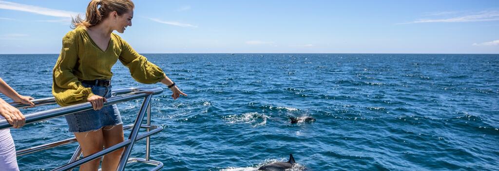 Hauraki Gulf, Auckland