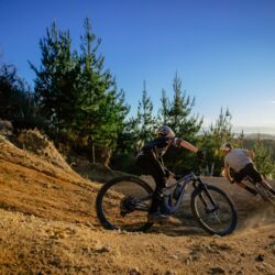 Waitangi Mountain Bike Park