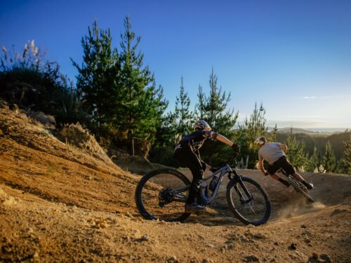 Waitangi Mountain Bike Park