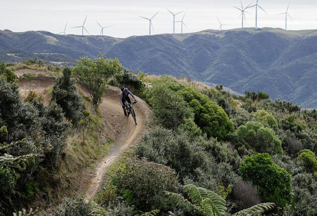 Set against some of the region’s finest trails leading into the Capital, these races span Kāpiti, the Hutt Valley, Porirua, and Wellington City. Runners will enjoy stunning coastal vistas, sweeping panoramas, and hidden gems, whichever course they choose.