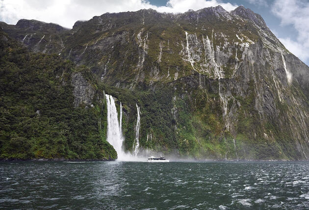 Experience New Zealand's unique nature and wildlife. Go whale watching or explore the unspoiled landscape. Discover more now.