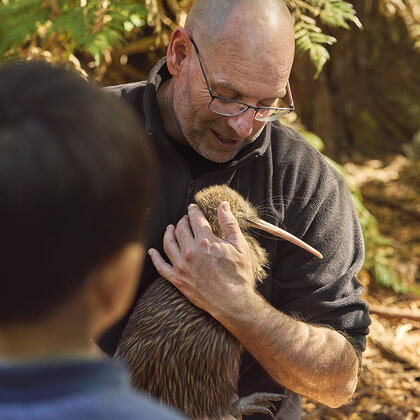 It's rather rare to see a Kiwi chick 