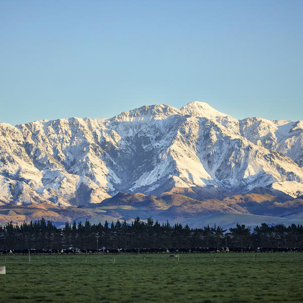 Views of the Southern Alps in Canterbury