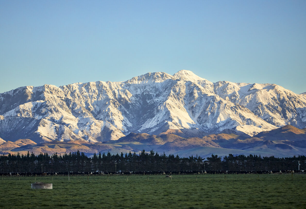 This 6-day itinerary is a great way to discover the Canterbury region. From skiing, farmstays and punting on the Avon River/Ōtakaro. This itinerary showcases the scenic back-country of the South Island. Plan your getaway. 