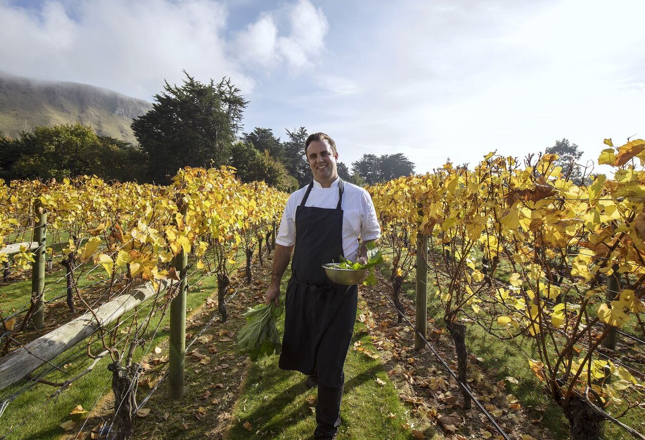 从清爽的春天到秋日里橙色的迷人世界，新西兰一年四季都非常美丽。了解新西兰四季的情况。