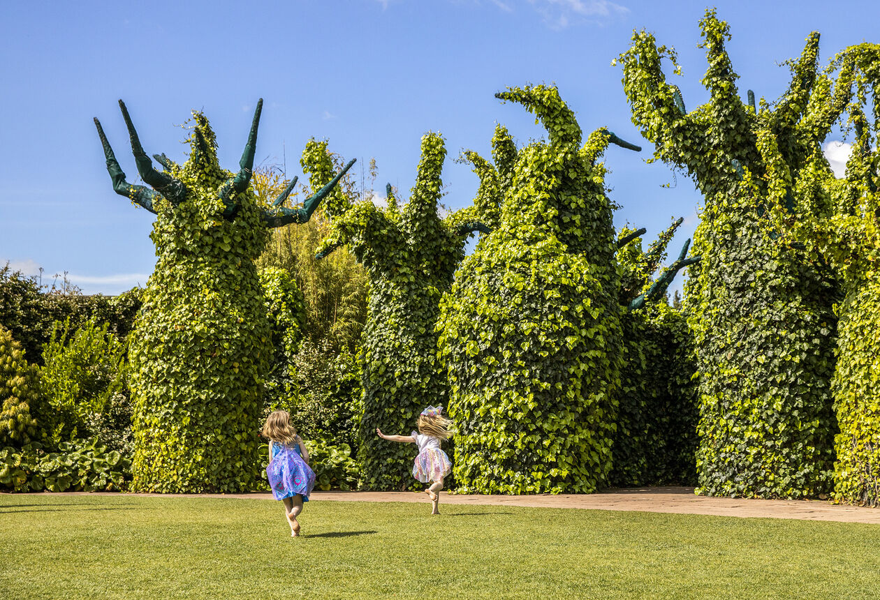 Discover Aotearoa New Zealand’s most distinctive gardens, ranging from traditional to innovative garden design.