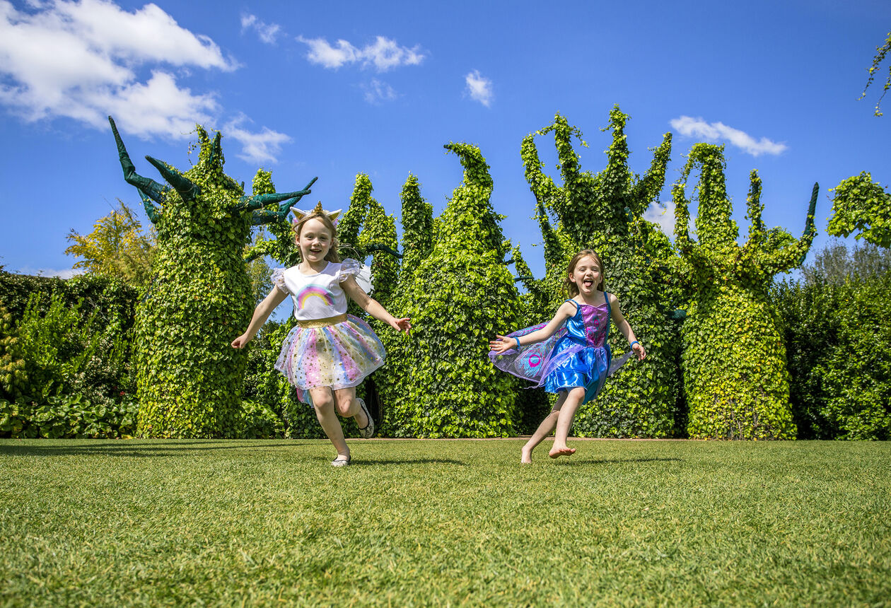 Whether it be the rolling green hills of Hobbiton, spectacular limestone caves, or black sand beaches, the Hamilton and Waikato region has something for everyone. Discover the top things to do in Hamilton.