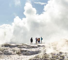 There are more than 60 geysers in the Whakawerawera valley, but the largest of them all is Pōhutu!