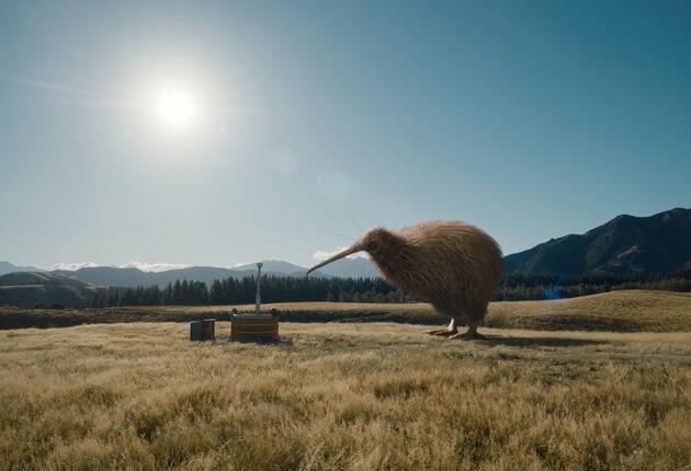 Discover Aotearoa New Zealand’s star attractions and hidden gems.