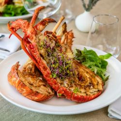 Crayfish, Tarras, Central Otago