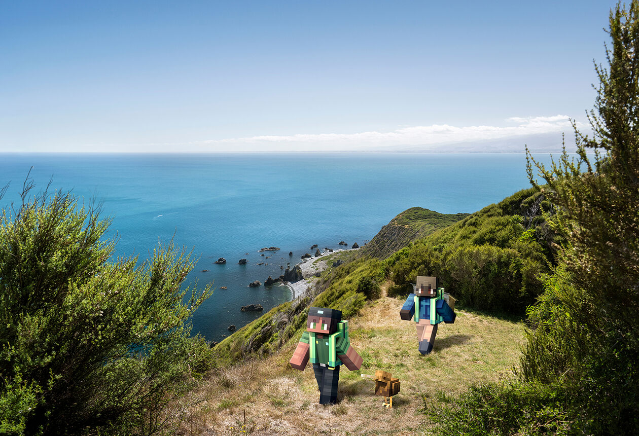 Kāpiti Island is a remarkable bird sanctuary, offering nature enthusiasts an unforgettable experience.




