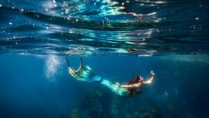 マーメイド・ダイビング｜100% ピュア・ニュージーランド