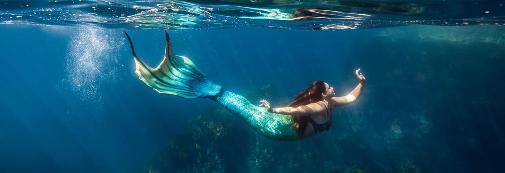 Mermaid swimming in the Poor Knights Islands