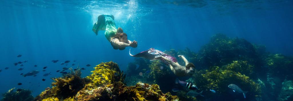 Aotearoa, New Zealand celebrates International Mermaid Day, in partnership with PADI® (Professional Association of Diving Instructors®), the world’s largest ...