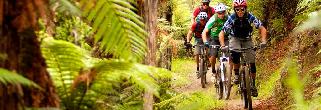 Discover New Zealand Mountain Biking Tours, and leave only dust, lush forest and scenic lakes in your wake. One of 200,000 quests awaiting you. Come play. Le...