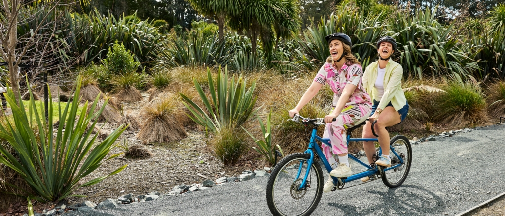 Tandem bike by winery