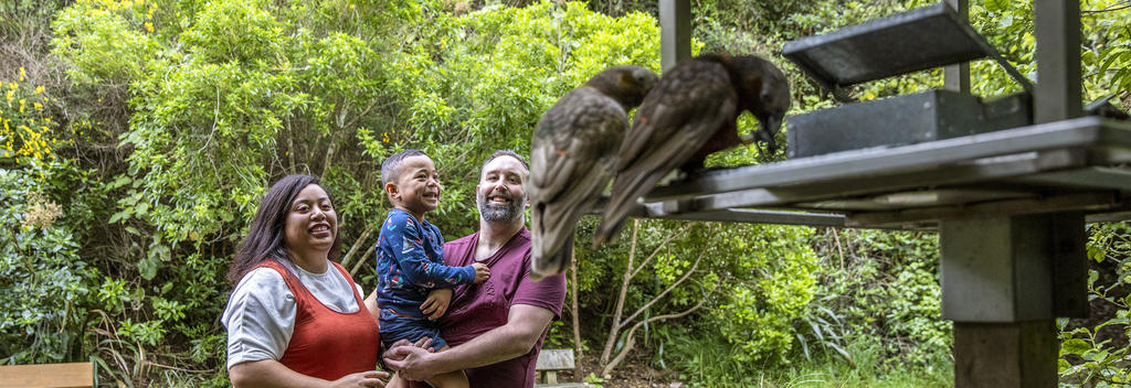 Zealandia ecosanctuary 