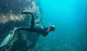 Snorkelling in Cathedral Cove, Coromandel