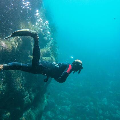 Snorkelling in Cathedral Cove, Coromandel