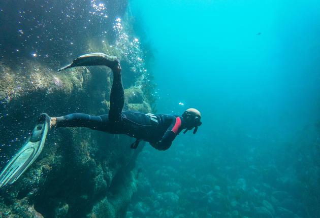 新西兰是潜水的天堂胜地。交通便利的海滩、稀有的黑珊瑚、广阔的海洋保护区，加之数百座近海小岛，构成了这里广阔而多样的水下世界。了解新西兰的潜水和浮潜地点。