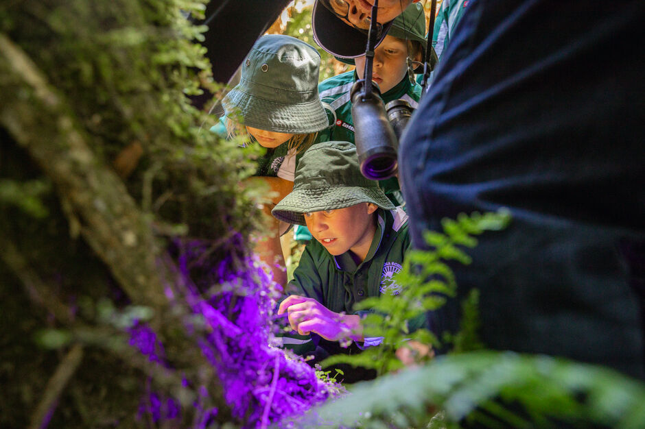 Pūkaha National Wildlife Centre