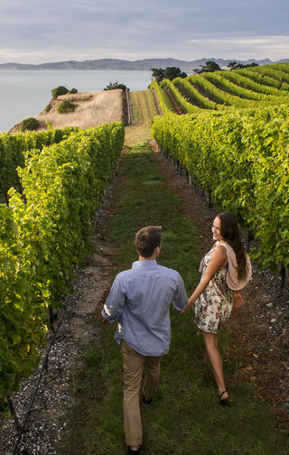 Gorgeous Summer Day in Marlborough