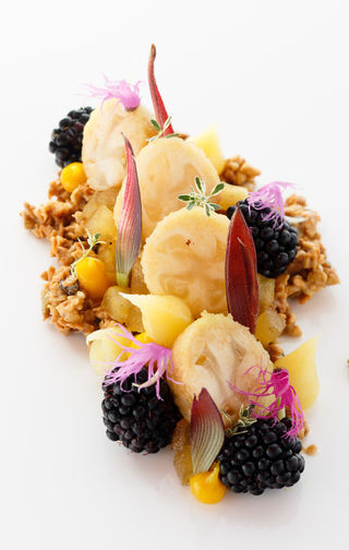 Roasted Granny Smith Apple, Feijoa, Dulcey, Granola, Blackberry, Lemon, Miyoga Ginger