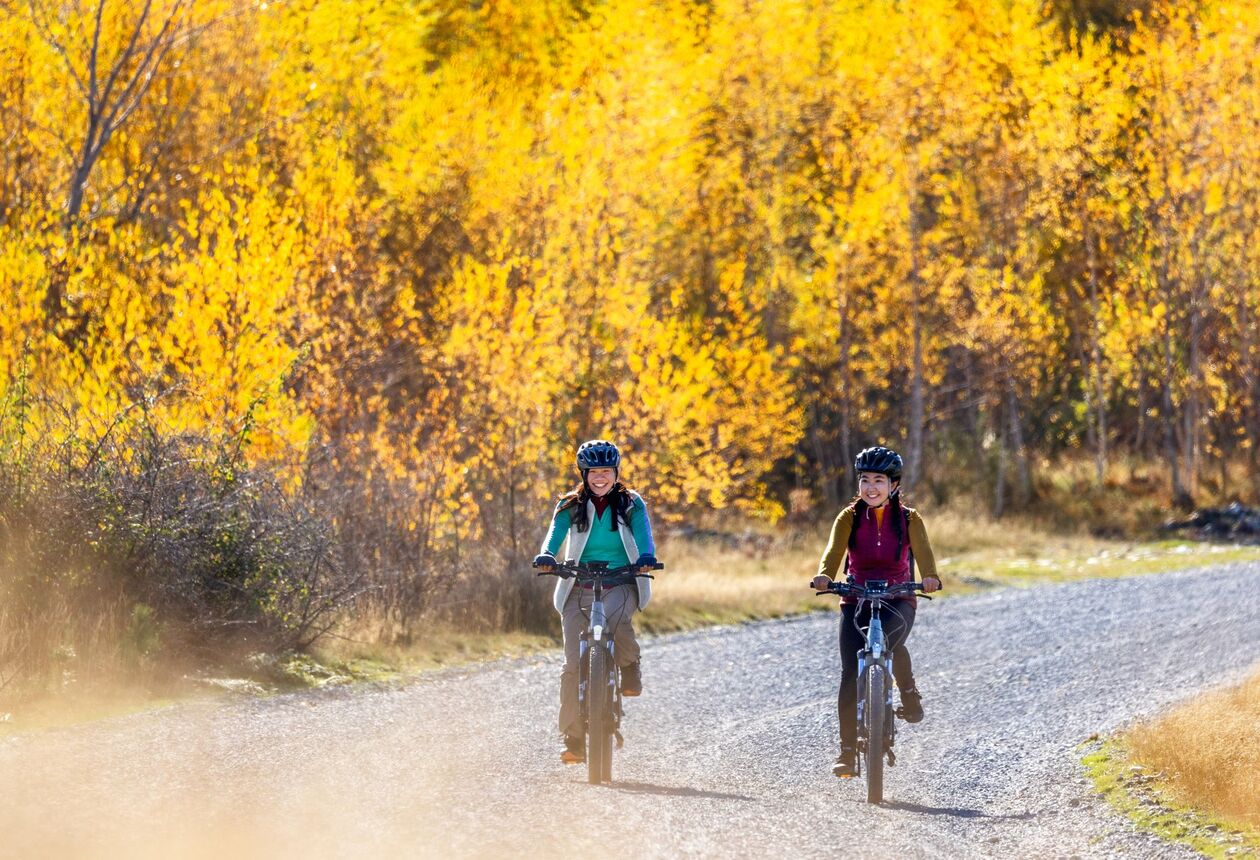 관광 드라이브, 야외 모험, 음식과 와인 체험, 문화 액티비티와 함께 아오테아로아 뉴질랜드의 가을을 만끽해보자.
