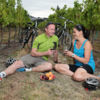 Otago Central Rail Trail Bikers amongst vines