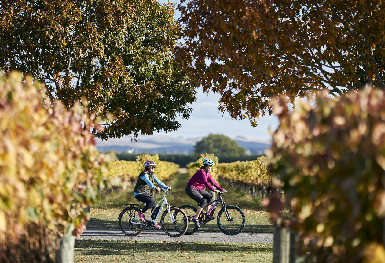 뉴질랜드의 다양한 자전거 트레일과 산악자전거 트랙을 탐험하며 아름다운 풍경과 다양한 지역 명소를 방문할 수 있다. 뉴질랜드 그레이트 라이드에 대해 알아보자.