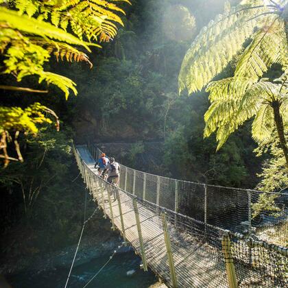Cyclists crossing Pakihi swing bridge on the Motu Trails