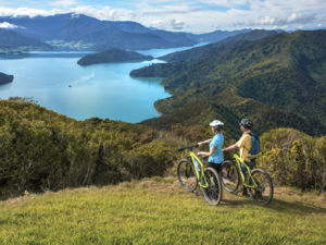 Queen Charlotte Track SH2 2