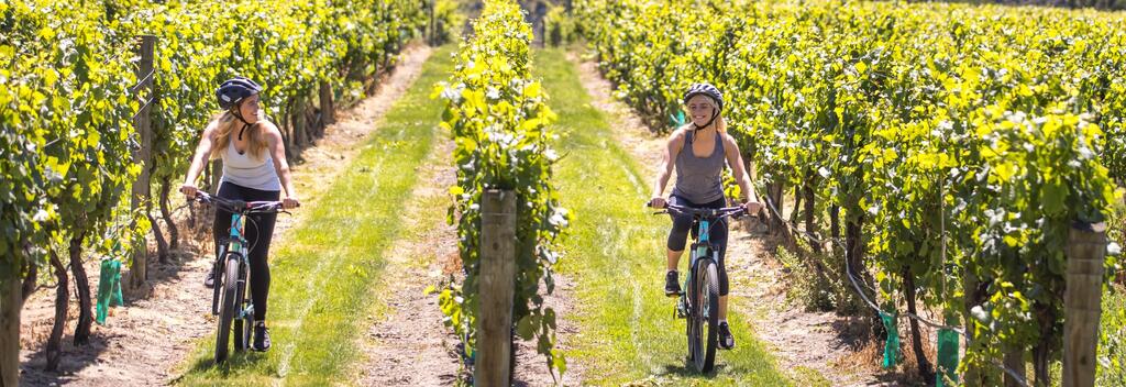 Cyclists in the vineyards on the Queenstown Trail