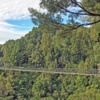 Timber Trail, Maramataha Bridge